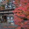 八溝温泉の紅葉
