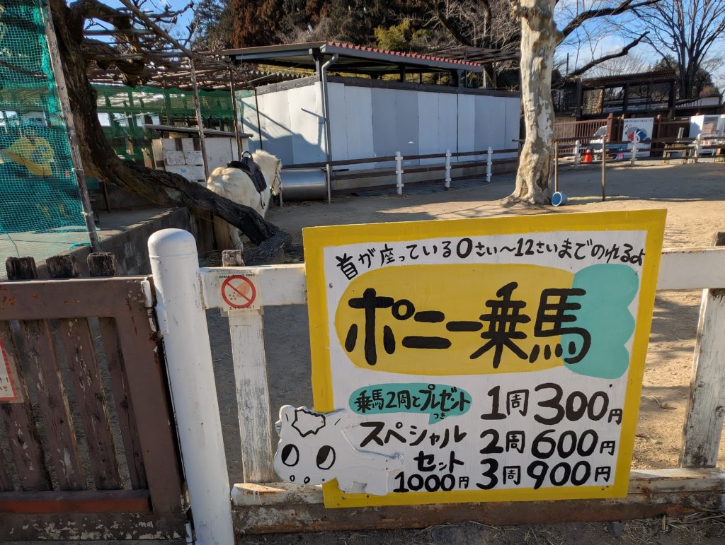 宇都宮動物園のポニー乗馬